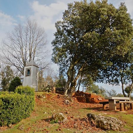 Apartamentos Fonda Finet Sant Feliu De Pallerols Bagian luar foto