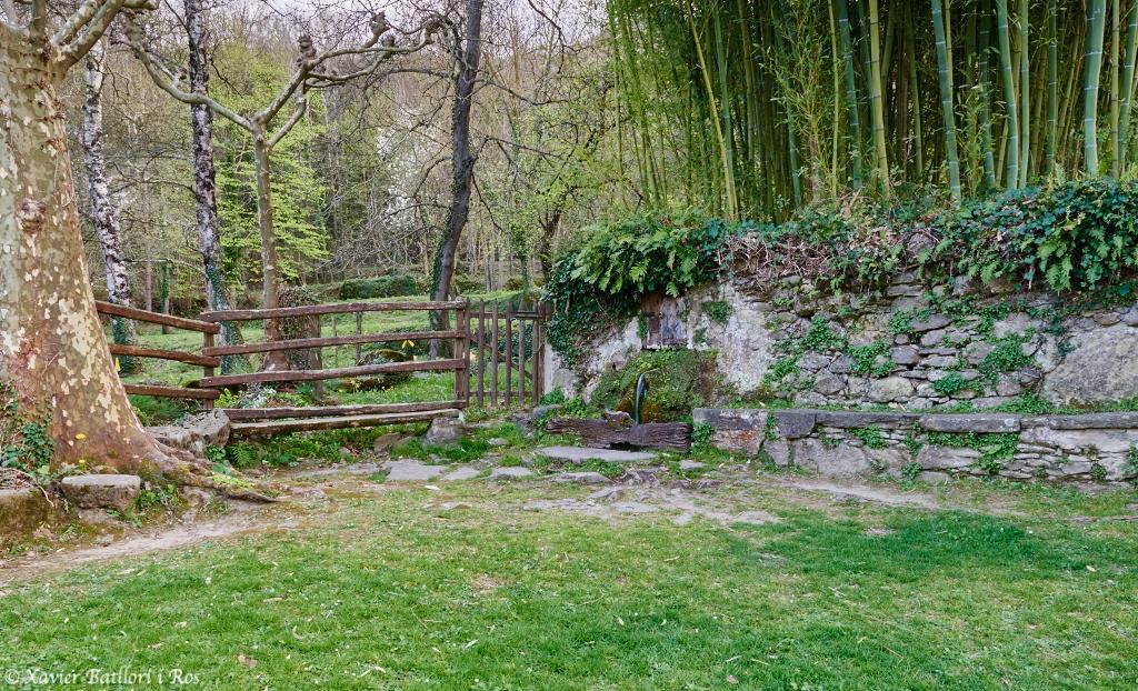 Apartamentos Fonda Finet Sant Feliu De Pallerols Bagian luar foto