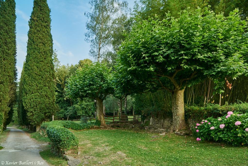 Apartamentos Fonda Finet Sant Feliu De Pallerols Bagian luar foto